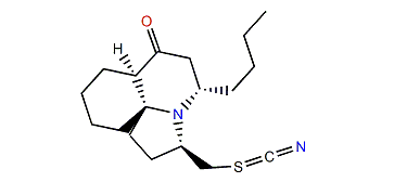 Cylindricine G